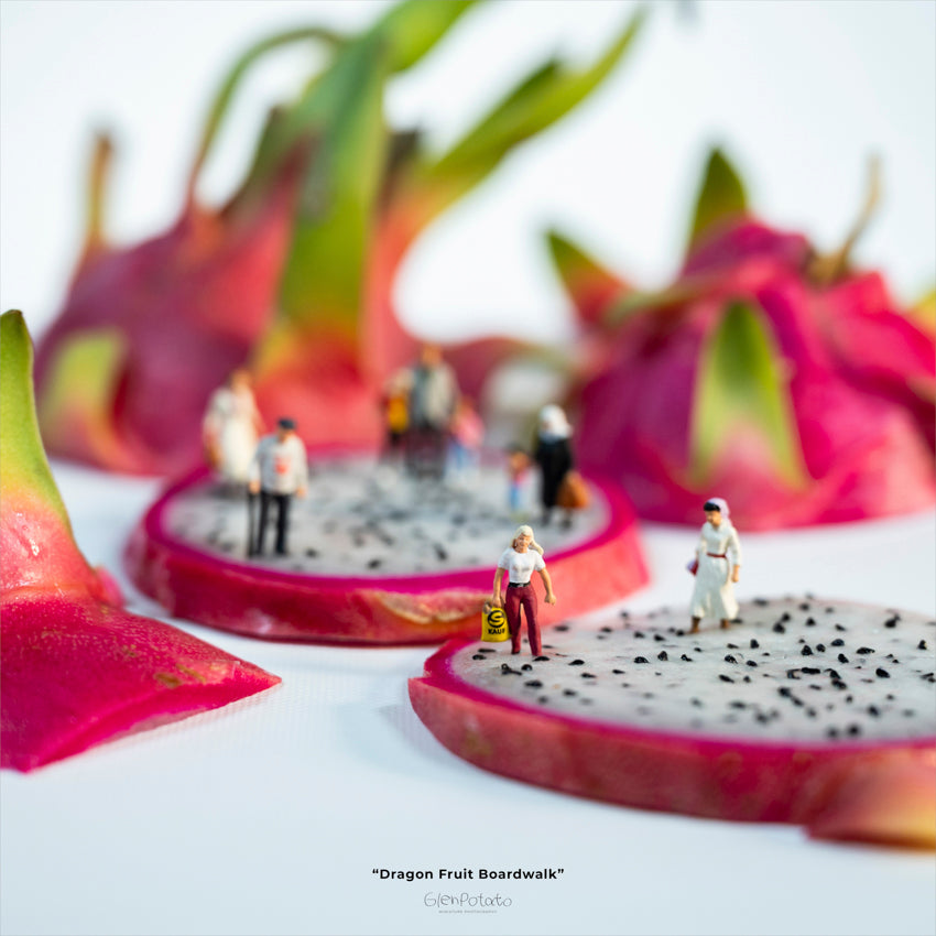 Dragon Fruit Boardwalk