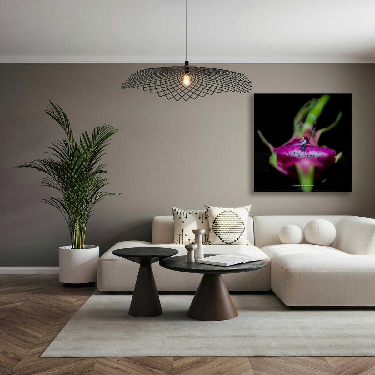 Dragon Fruit Lounge