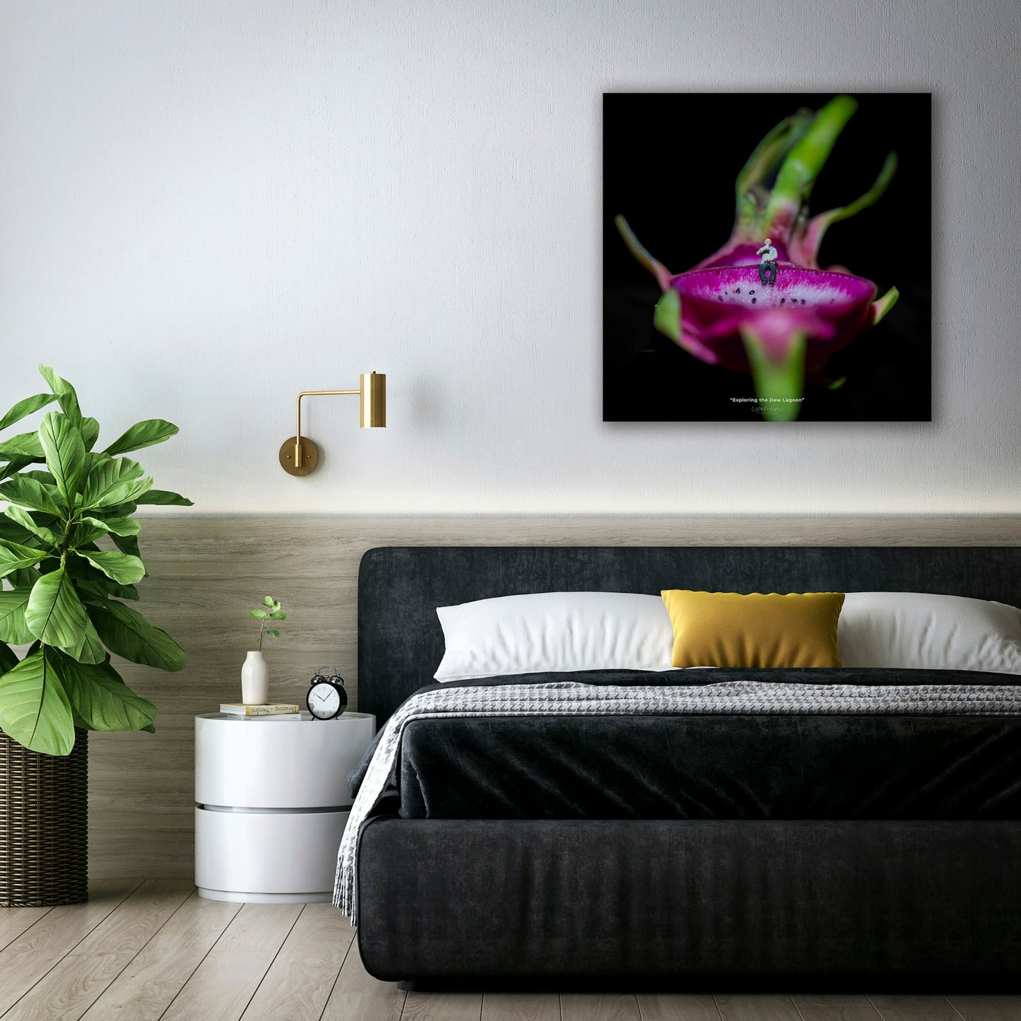 Dragon Fruit Lounge