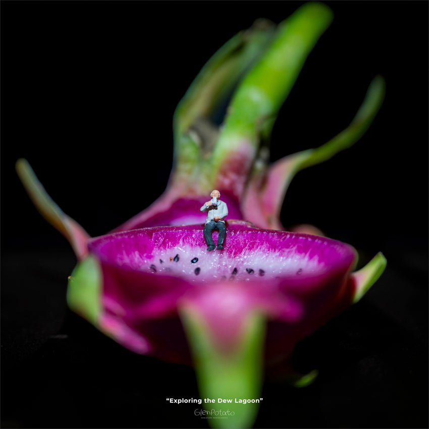 Dragon Fruit Lounge