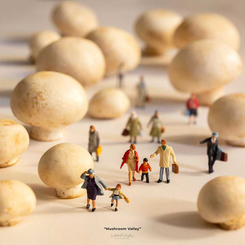 Mushroom Valley