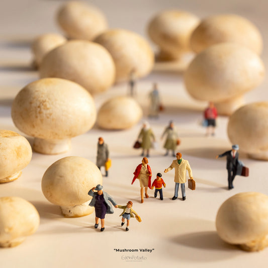Mushroom Valley