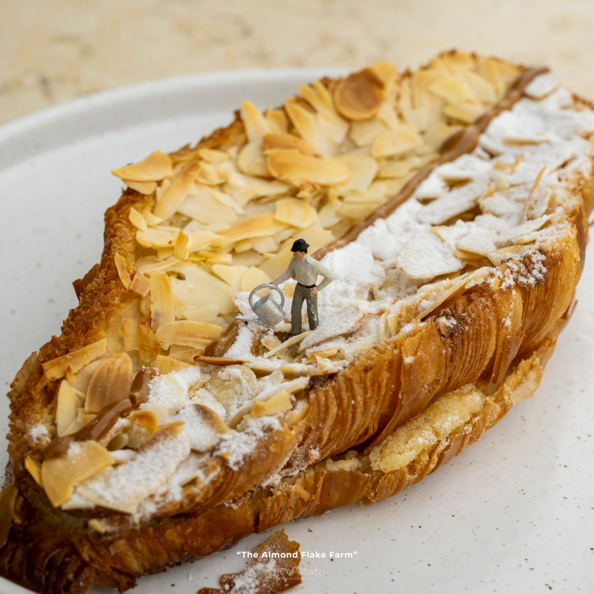 The Almond Flake Farm